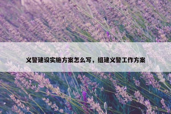 义警建设实施方案怎么写，组建义警工作方案