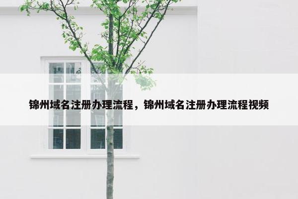 锦州域名注册办理流程，锦州域名注册办理流程视频