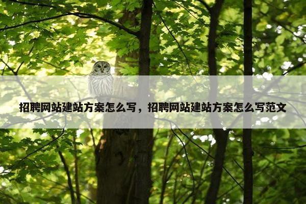 招聘网站建站方案怎么写，招聘网站建站方案怎么写范文