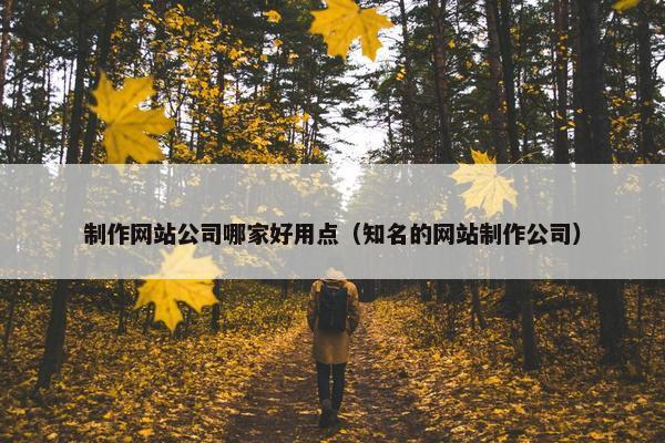 制作网站公司哪家好用点（知名的网站制作公司）