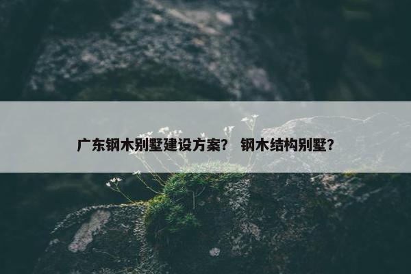 广东钢木别墅建设方案？ 钢木结构别墅？