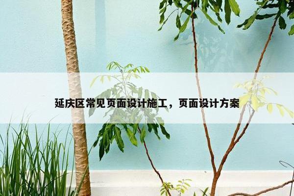 延庆区常见页面设计施工，页面设计方案