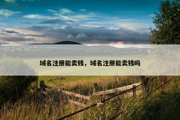 域名注册能卖钱，域名注册能卖钱吗
