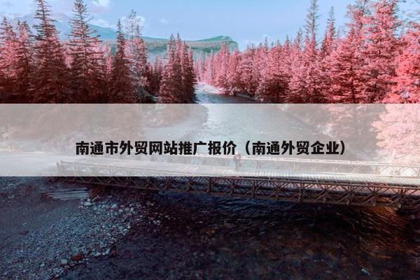 南通市外贸网站推广报价（南通外贸企业）
