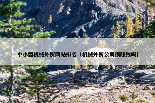 中小型机械外贸网站排名（机械外贸公司很赚钱吗）