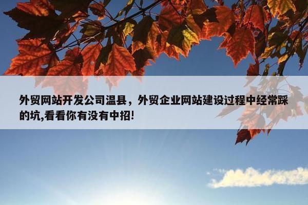 外贸网站开发公司温县，外贸企业网站建设过程中经常踩的坑,看看你有没有中招!
