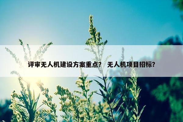 评审无人机建设方案重点？ 无人机项目招标？
