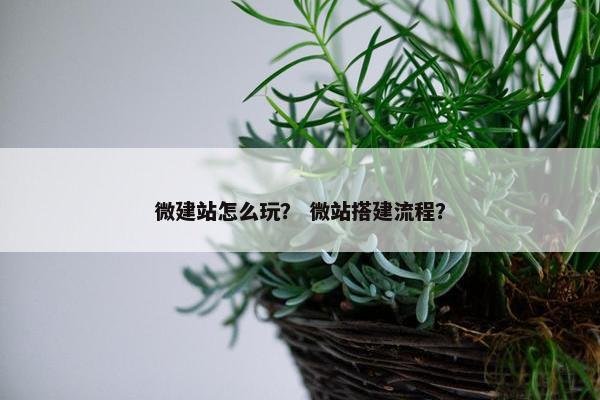 微建站怎么玩？ 微站搭建流程？