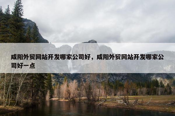 咸阳外贸网站开发哪家公司好，咸阳外贸网站开发哪家公司好一点