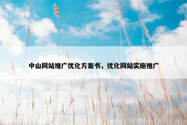 中山网站推广优化方案书，优化网站实施推广