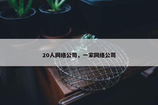20人网络公司，一家网络公司
