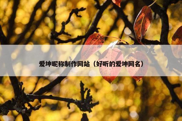 爱坤昵称制作网站（好听的爱坤网名）