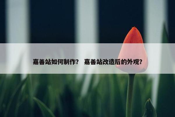 嘉善站如何制作？ 嘉善站改造后的外观？