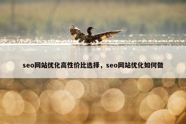seo网站优化高性价比选择，seo网站优化如何做