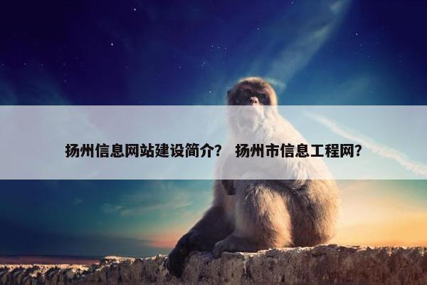 扬州信息网站建设简介？ 扬州市信息工程网？