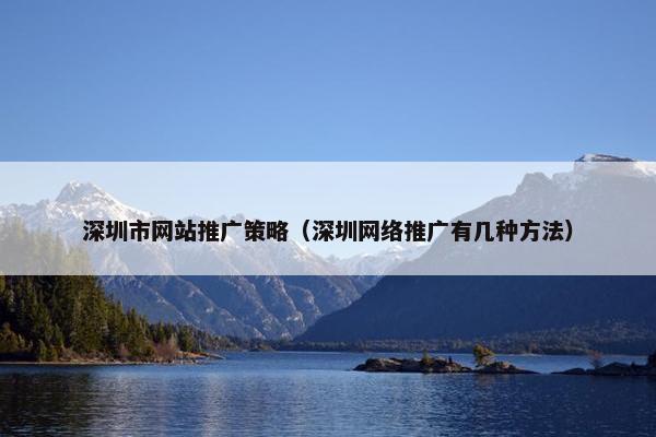 深圳市网站推广策略（深圳网络推广有几种方法）