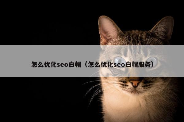 怎么优化seo白帽（怎么优化seo白帽服务）