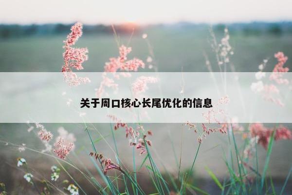 关于周口核心长尾优化的信息