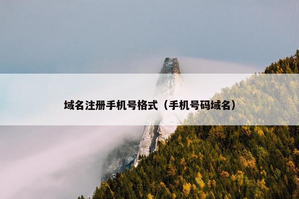 域名注册手机号格式（手机号码域名）