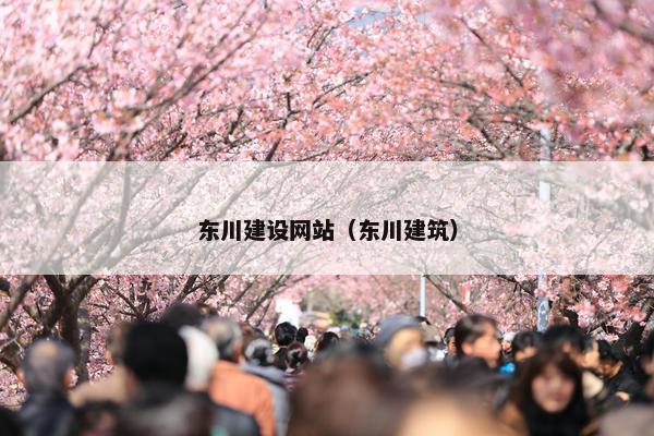 东川建设网站（东川建筑）