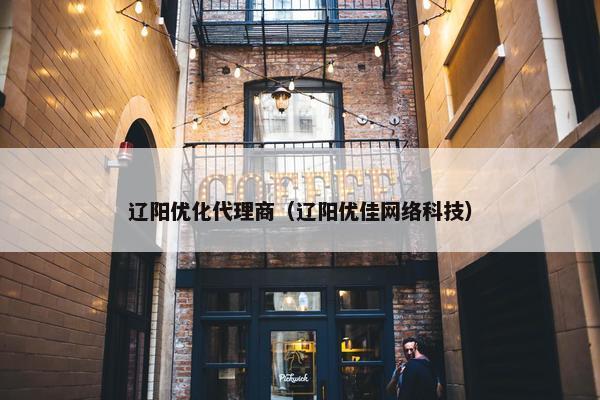 辽阳优化代理商（辽阳优佳网络科技）