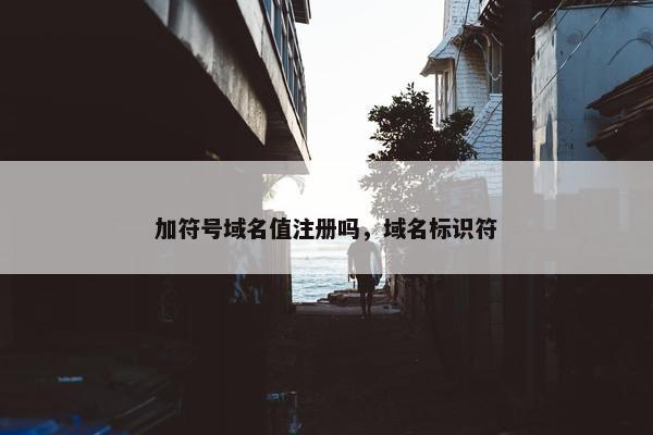 加符号域名值注册吗，域名标识符