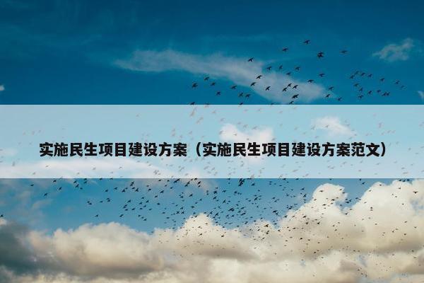 实施民生项目建设方案（实施民生项目建设方案范文）