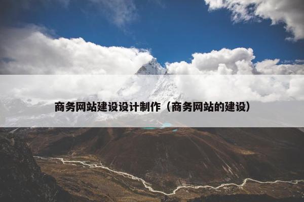 商务网站建设设计制作（商务网站的建设）