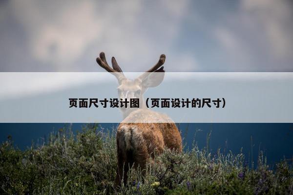 页面尺寸设计图（页面设计的尺寸）