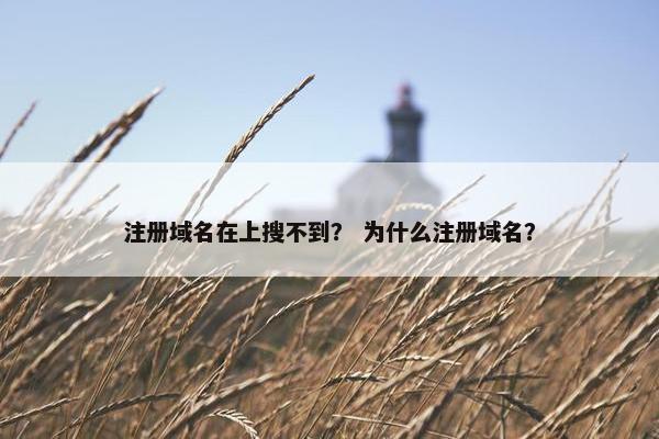 注册域名在上搜不到？ 为什么注册域名？
