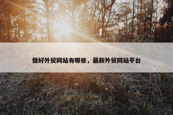 做好外贸网站有哪些，最新外贸网站平台