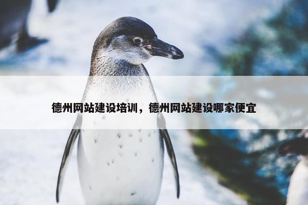 德州网站建设培训，德州网站建设哪家便宜