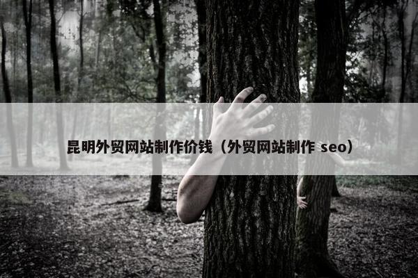 昆明外贸网站制作价钱（外贸网站制作 seo）