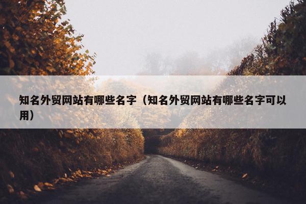 知名外贸网站有哪些名字（知名外贸网站有哪些名字可以用）