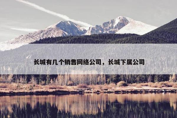 长城有几个销售网络公司，长城下属公司