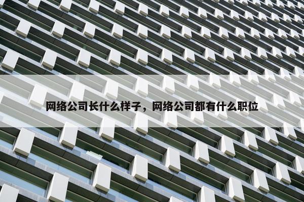 网络公司长什么样子，网络公司都有什么职位