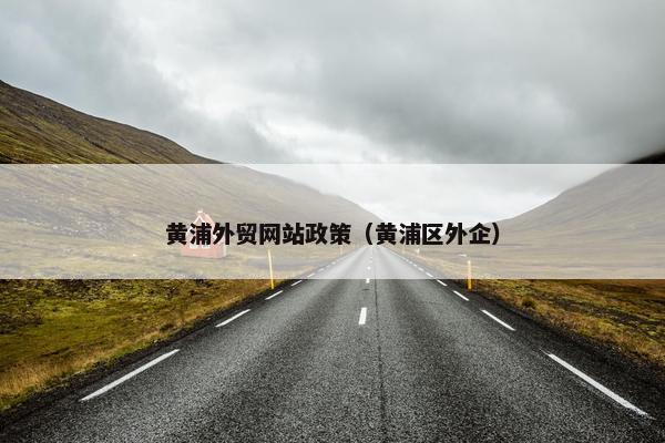 黄浦外贸网站政策（黄浦区外企）