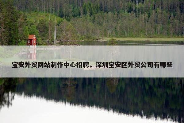 宝安外贸网站制作中心招聘，深圳宝安区外贸公司有哪些