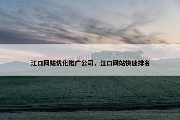 江口网站优化推广公司，江口网站快速排名