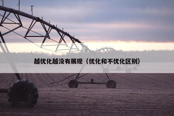 越优化越没有展现（优化和不优化区别）