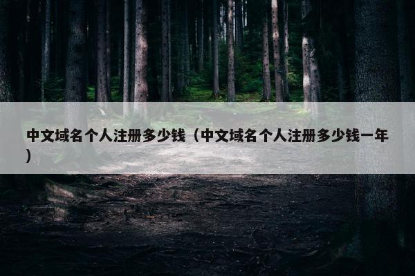 中文域名个人注册多少钱（中文域名个人注册多少钱一年）