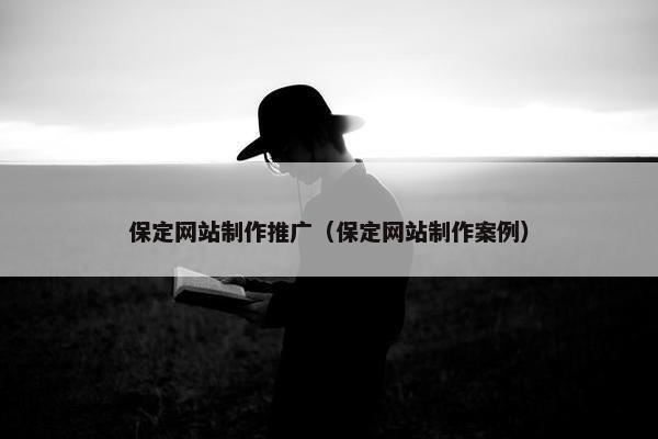 保定网站制作推广（保定网站制作案例）