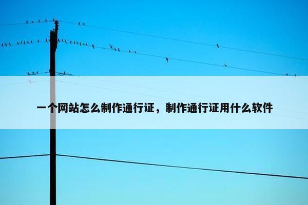 一个网站怎么制作通行证，制作通行证用什么软件