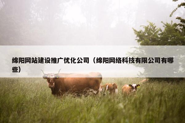 绵阳网站建设推广优化公司（绵阳网络科技有限公司有哪些）