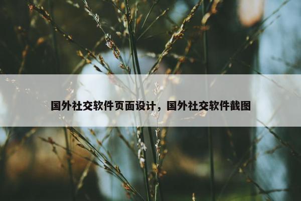 国外社交软件页面设计，国外社交软件截图