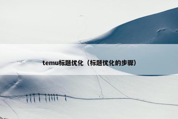 temu标题优化（标题优化的步骤）