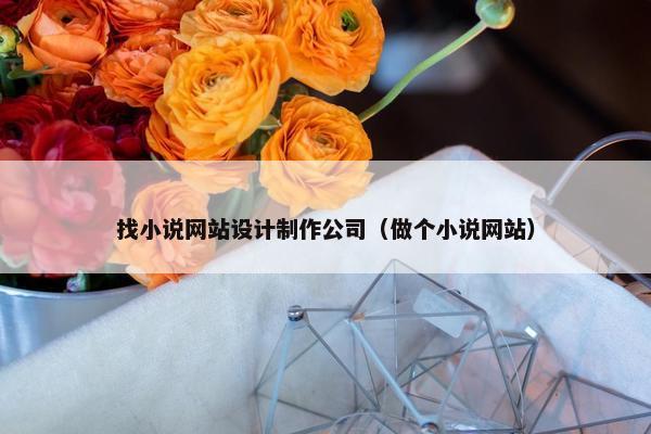 找小说网站设计制作公司（做个小说网站）