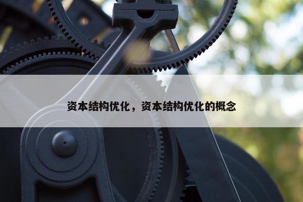 资本结构优化，资本结构优化的概念