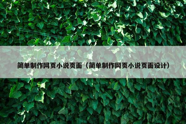 简单制作网页小说页面（简单制作网页小说页面设计）