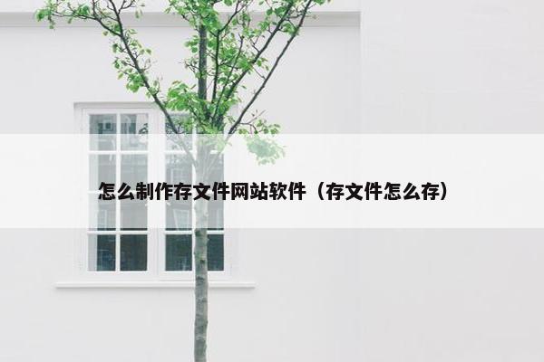 怎么制作存文件网站软件（存文件怎么存）